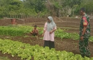 Langkah Nyata Babinsa di Cot Ba’U, Dampingi Petani Demi Ketahanan Pangan