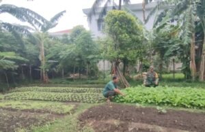 Babinsa Koramil 02/Sukakarya Intensif Pantau Ketahanan Pangan Warga di Wilayah Binaan