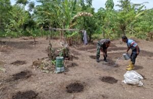 Babinsa Keuneukai Dampingi Warga Rawat Tanaman Muda, Dukung Ketahanan Pangan