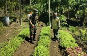 Peduli Petani, Babinsa Krueng Raya Turun Langsung Dampingi Penyemprotan Kangkung