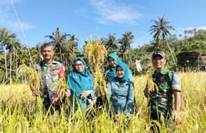 Babinsa Sukajaya Hadiri Panen Simbolis Padi Gogo Bersama PKK Kota Sabang