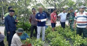 Babinsa Aneuk Laot Dampingi Penyaluran Bibit Cengkeh, Dorong Kemajuan Perkebunan Warga