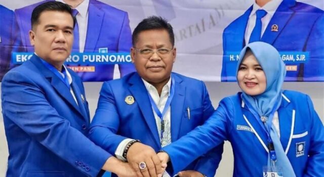 Aminullah Usman Kembali Pimpin DPD PAN Banda Aceh