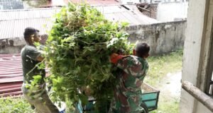 Bangun Kebersamaan, Babinsa Koramil 01/Sukajaya Bantu Warga Binaan Cari Pakan Ternak