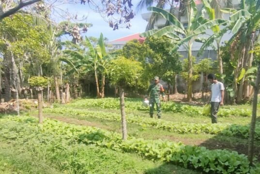 Babinsa Kuta Ateuh Aktif Kawal Ketahanan Pangan, Pastikan Lahan Warga Produktif