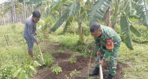 Babinsa Koramil 01/Sukajaya Dampingi Petani Gampong Cot Abeuk Wujudkan Ketahanan Pangan