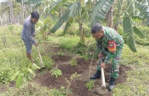 Babinsa Koramil 01/Sukajaya Dampingi Petani Gampong Cot Abeuk Wujudkan Ketahanan Pangan