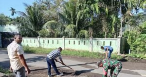 Wujud Kepedulian Lingkungan,Babinsa dan Perangkat Gampong Batee Shoek Gotong Royong Bersihkan Bahu Jalan.