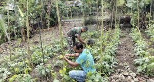 Wujud Kepedulian TNI, Babinsa Koramil 02/Sukakarya Dampingi Petani, Dorong Pemanfaatan Lahan untuk Produktivitas