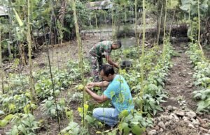 Wujud Kepedulian TNI, Babinsa Koramil 02/Sukakarya Dampingi Petani, Dorong Pemanfaatan Lahan untuk Produktivitas