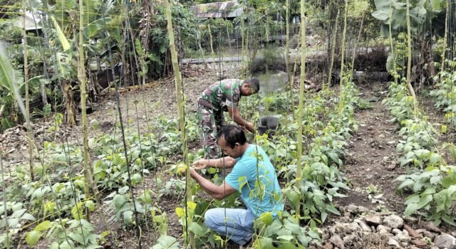 Wujud Kepedulian TNI, Babinsa Koramil 02/Sukakarya Dampingi Petani, Dorong Pemanfaatan Lahan untuk Produktivitas
