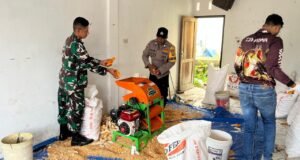 Sinergi Babinsa dan Bhabinkamtibmas Dukung Ketahanan Pangan, Dampingi Petani Jagung Hingga Siap Jual