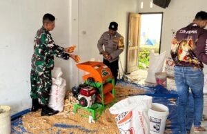 Sinergi Babinsa dan Bhabinkamtibmas Dukung Ketahanan Pangan, Dampingi Petani Jagung Hingga Siap Jual