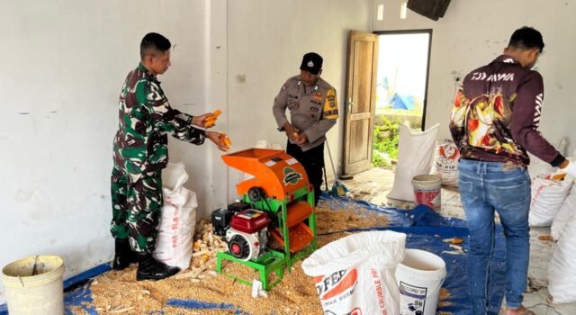 Sinergi Babinsa dan Bhabinkamtibmas Dukung Ketahanan Pangan, Dampingi Petani Jagung Hingga Siap Jual