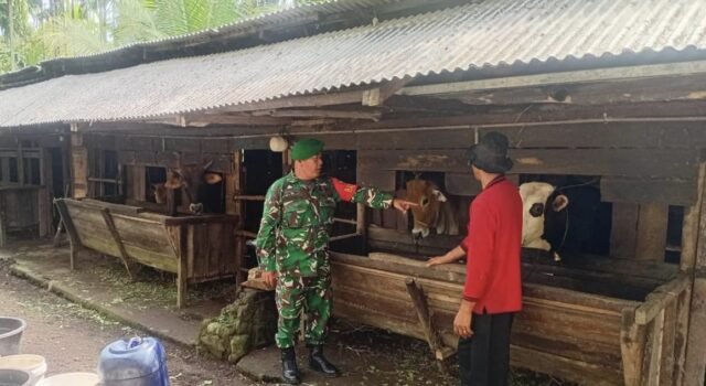 Melalui Komsos, Babinsa Koramil 02/Sukakarya Perkuat Ketahanan Pangan dari Sektor Peternakan di Gampong Batee Shoek