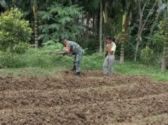 Babinsa Bantu Petani Bersihkan Bedengan, Wujud Dukungan Ketahanan Pangan di Wilayah Binaan