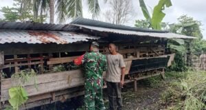 Babinsa Koramil 02/Sukakarya Sambangi Warga, Beri Motivasi Pengembangan Ternak Kambing di Gampong Batee Shoek