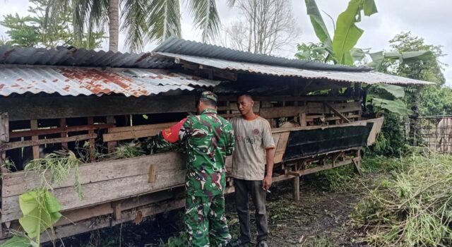 Babinsa Koramil 02/Sukakarya Sambangi Warga, Beri Motivasi Pengembangan Ternak Kambing di Gampong Batee Shoek