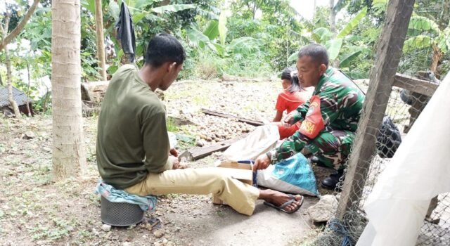 Humanis, Babinsa Keuneukai Bantu Warga Kupas Pinang di Jurong Pasi