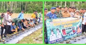 Dandim 0112/Sabang Hadiri Gerakan Menanam Cabai di Gampong Cot Ba’U, Perkuat Sinergi Ketahanan Pangan