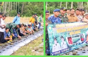 Dandim 0112/Sabang Hadiri Gerakan Menanam Cabai di Gampong Cot Ba’U, Perkuat Sinergi Ketahanan Pangan