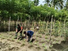 Babinsa Koramil 01/Sukajaya Bantu Petani Tingkatkan Hasil Pertanian