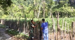 Babinsa Koramil 01/Sukajaya Bantu Warga Perbaiki Pagar Kebun Jagung Demi Dukung Ketahanan Pangan