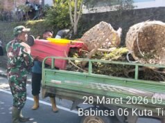 Peduli Lingkungan, Babinsa Kuta Timu Bantu Petugas DLHK Sabang Angkat Sampah