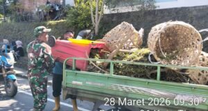 Peduli Lingkungan, Babinsa Kuta Timu Bantu Petugas DLHK Sabang Angkat Sampah