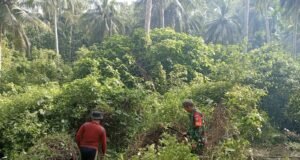 Babinsa Aneuk Laot Gotong Royong Bersama Warga Siapkan Lahan Kandang Sapi BUMG