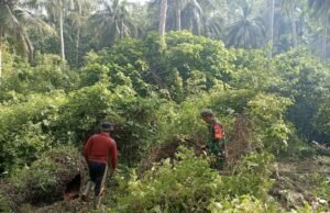 Babinsa Aneuk Laot Gotong Royong Bersama Warga Siapkan Lahan Kandang Sapi BUMG