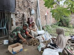 Babinsa Koramil 02/Sukakarya Bantu Warga Kupas Pinang, Wujud Kebersamaan di Gampong Paya Seunara