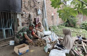 Babinsa Koramil 02/Sukakarya Bantu Warga Kupas Pinang, Wujud Kebersamaan di Gampong Paya Seunara