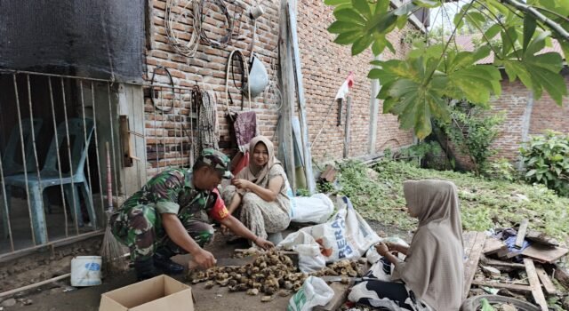 Babinsa Koramil 02/Sukakarya Bantu Warga Kupas Pinang, Wujud Kebersamaan di Gampong Paya Seunara