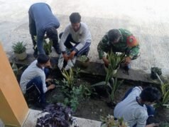 Hijaukan Sekolah, Babinsa Koramil 01/Sukajaya dan Siswa SMPN 9 Sabang Tanam Tanaman Hias Bersama