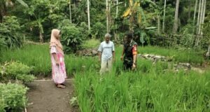 Babinsa Koramil 02/Sukakarya Dampingi Petani Padi Gogo di Krueng Raya, Dukung Swasembada Pangan