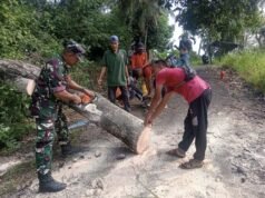 Respons Cepat, Babinsa Koramil 02/Sukakarya Ikut Serta Pembersihan Pohon Tumbang yang Menghambat Akses Jalan Masyarakat