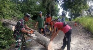 Respons Cepat, Babinsa Koramil 02/Sukakarya Ikut Serta Pembersihan Pohon Tumbang yang Menghambat Akses Jalan Masyarakat