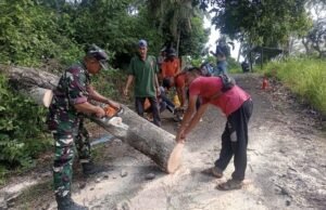 Respons Cepat, Babinsa Koramil 02/Sukakarya Ikut Serta Pembersihan Pohon Tumbang yang Menghambat Akses Jalan Masyarakat