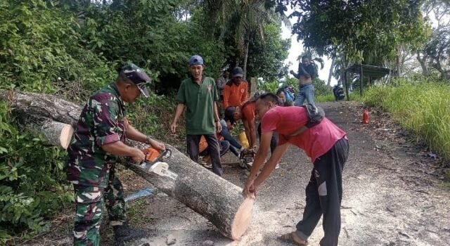 Respons Cepat, Babinsa Koramil 02/Sukakarya Ikut Serta Pembersihan Pohon Tumbang yang Menghambat Akses Jalan Masyarakat