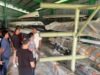 Siasati Pelatda Pra PON’, PODSI Aceh Cek Kondisi Perahu dan Inveratisir Aset”