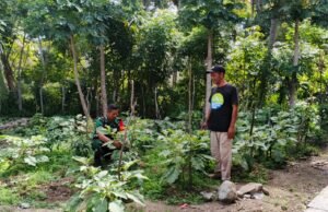 Babinsa Koramil 01/Sukajaya Bantu Warga Pruning Tanaman Cabai dan Terong di Gampong Jaboi
