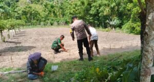 Bukan Sekadar Imbauan! Babinsa Koramil 01/Sukajaya Aktif Dampingi Kegiatan Ketahanan Pangan di Wilayah
