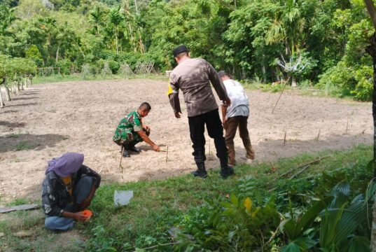 Bukan Sekadar Imbauan! Babinsa Koramil 01/Sukajaya Aktif Dampingi Kegiatan Ketahanan Pangan di Wilayah