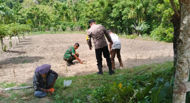 Bukan Sekadar Imbauan! Babinsa Koramil 01/Sukajaya Aktif Dampingi Kegiatan Ketahanan Pangan di Wilayah