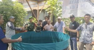 Panen Perdana BUMG Kuta Ateuh, Babinsa Turut Dukung Kemandirian Pangan