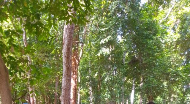 Polres Sabang Berikan Pengamanan Maksimal bagi Wisatawan Kapal Pesiar MS. Azamara Onward