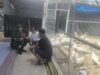 Cegah Kerugian, Babinsa Kuta Ateuh Edukasi Peternak Soal Gangguan Hewan