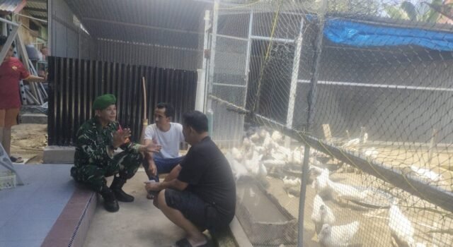 Cegah Kerugian, Babinsa Kuta Ateuh Edukasi Peternak Soal Gangguan Hewan