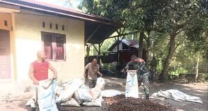 Tingkatkan Nilai Jual Pinang, Babinsa Paya Terjun Langsung Dampingi Petani